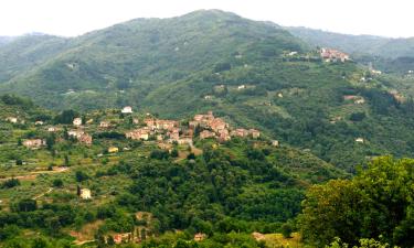 Bed and breakfasts en Pescia