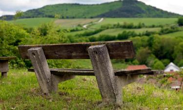 Bed and breakfasts a Salinas de Pamplona