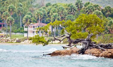 Hotels in Treasure Beach