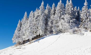 โรงแรมในLa Vue des Alpes