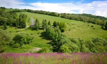 Hotell med parkering i Michalovce