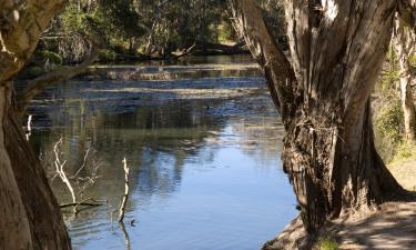 Haustierfreundliche Hotels in Benalla