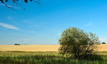 Хотели в Kazimierzówka