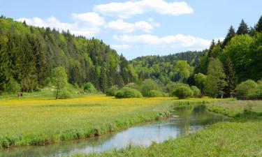 Apartamenty w mieście Bad Alexandersbad