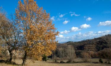 B&B em Castel del Piano