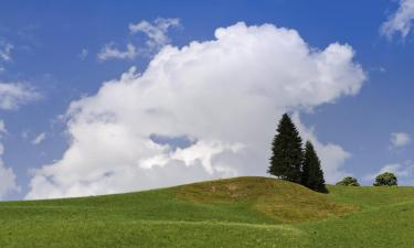 Departamentos en Wald im Pinzgau