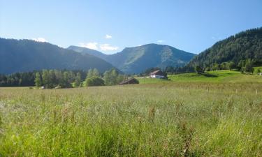 Wellnesshotelek Steibisben