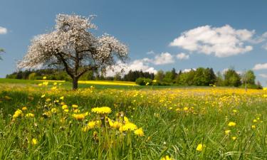 Hoteller med parkering i Han-sur-Lesse