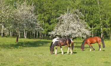 Apartmanok Nörten-Hardenbergben