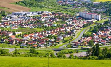 Apartamentai Stara Liubovnioje