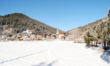 Bed & breakfast σε Santo Stefano di Cadore