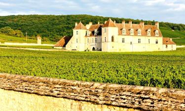 Hoteles en Nuits-Saint-Georges