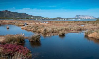 Hotels in Capo Coda Cavallo