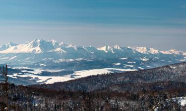 Евтини почивки в Нови Тарг