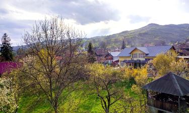 Hoteles en Slănic