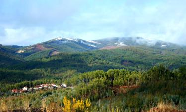 Huisdiervriendelijke Hotels in Pedrógão Grande