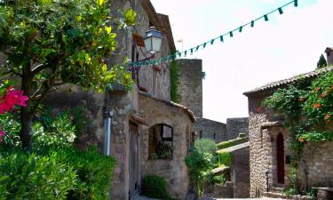 Bed and breakfasts a Les Arcs sur Argens