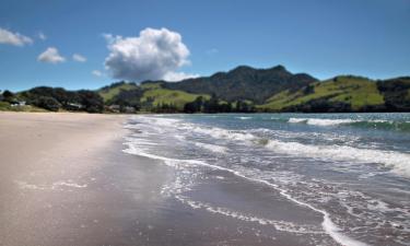 Hostely v destinaci Whitianga