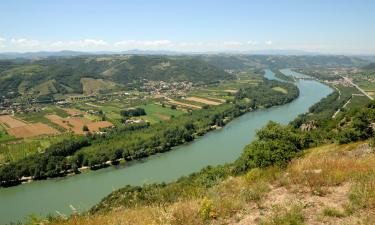 Lemmikkiystävälliset hotellit kohteessa Chasse-sur-Rhône