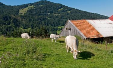 Leiligheter i Obermaiselstein