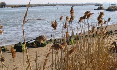 Hoteles familiares en Marano Lagunare