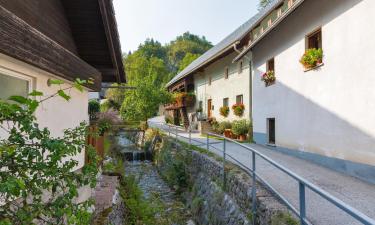 Διαμερίσματα σε Bohinjska Bela