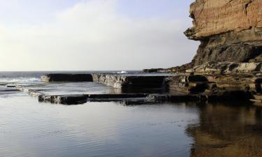 Ξενοδοχεία σε Terrigal