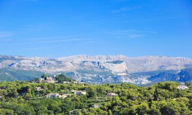 Hôtels acceptant les animaux domestiques à Valbonne