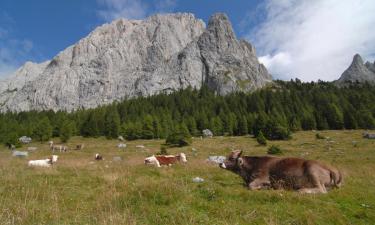 Hoteles en San Vito di Cadore