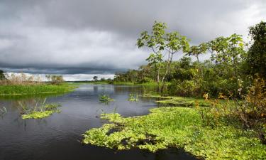 Hoteller med basseng i Pucallpa