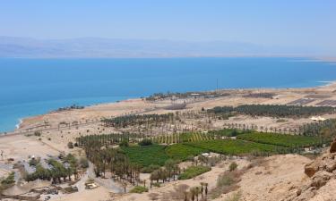 Hotely v destinácii Ein Gedi