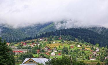 Гостевые дома в Ворохте