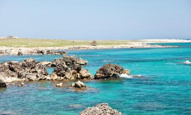 Alquileres vacacionales en San Foca