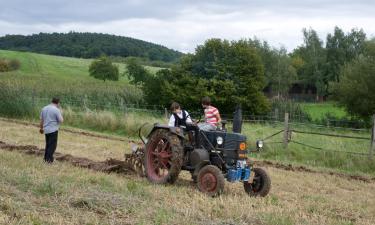 Billig ferie til Viernheim