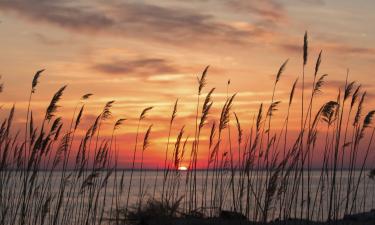 Lággjaldahótel í Chesapeake Beach