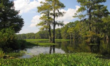 Günstige Hotels in Houma