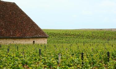 Iseteenindusega majutused sihtkohas Savigny-lès-Beaune