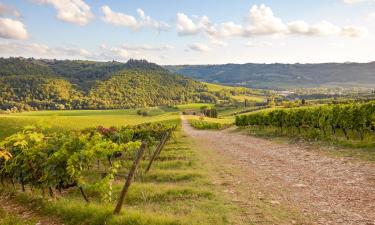 Pensiuni agroturistice în San Casciano in Val di Pesa