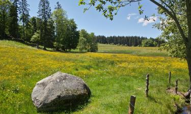 Ośrodki narciarskie w mieście Schönau im Schwarzwald