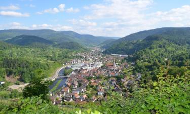 Hotel a 4 stelle a Bad Wildbad