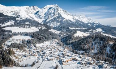 Pensiuni în Scheffau am Wilden Kaiser