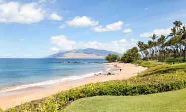 Mga hotel sa Wailea