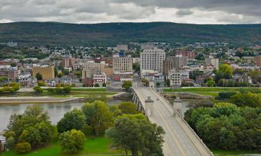 Vacances barates a Wilkes-Barre