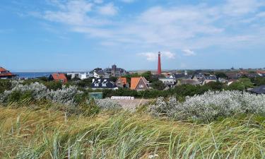 Vacaciones baratas en Den Helder