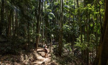 Chalés em Mount Tamborine