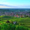 Hoteller i Sasbach am Kaiserstuhl