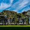 Cabañas y casas de campo en Raheny