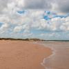 Gæludýravæn hótel í Brackley Beach