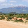 Hôtels pas chers à Isiolo