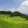 Affittacamere a Kamogawa